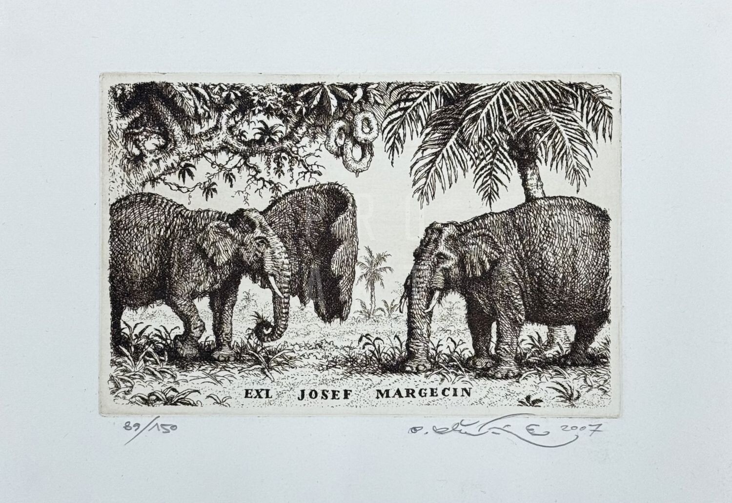 Ex Libris Josef Margecin